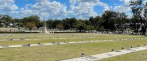 Photograph of Lutwyche Cemetery in Brisbane, showing rows of flat grave markers with small flags placed on them. The cemetery is surrounded by trees and greenery under a blue sky with scattered clouds.