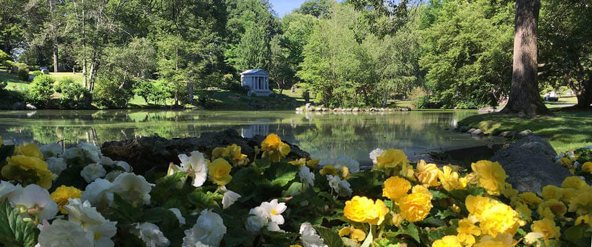 Newton Cemetery and Arboretum during summer, featuring bright yellow flowers in the foreground and a serene pond surrounded by lush green trees. A small mausoleum is visible in the background, adding to the tranquil landscape.